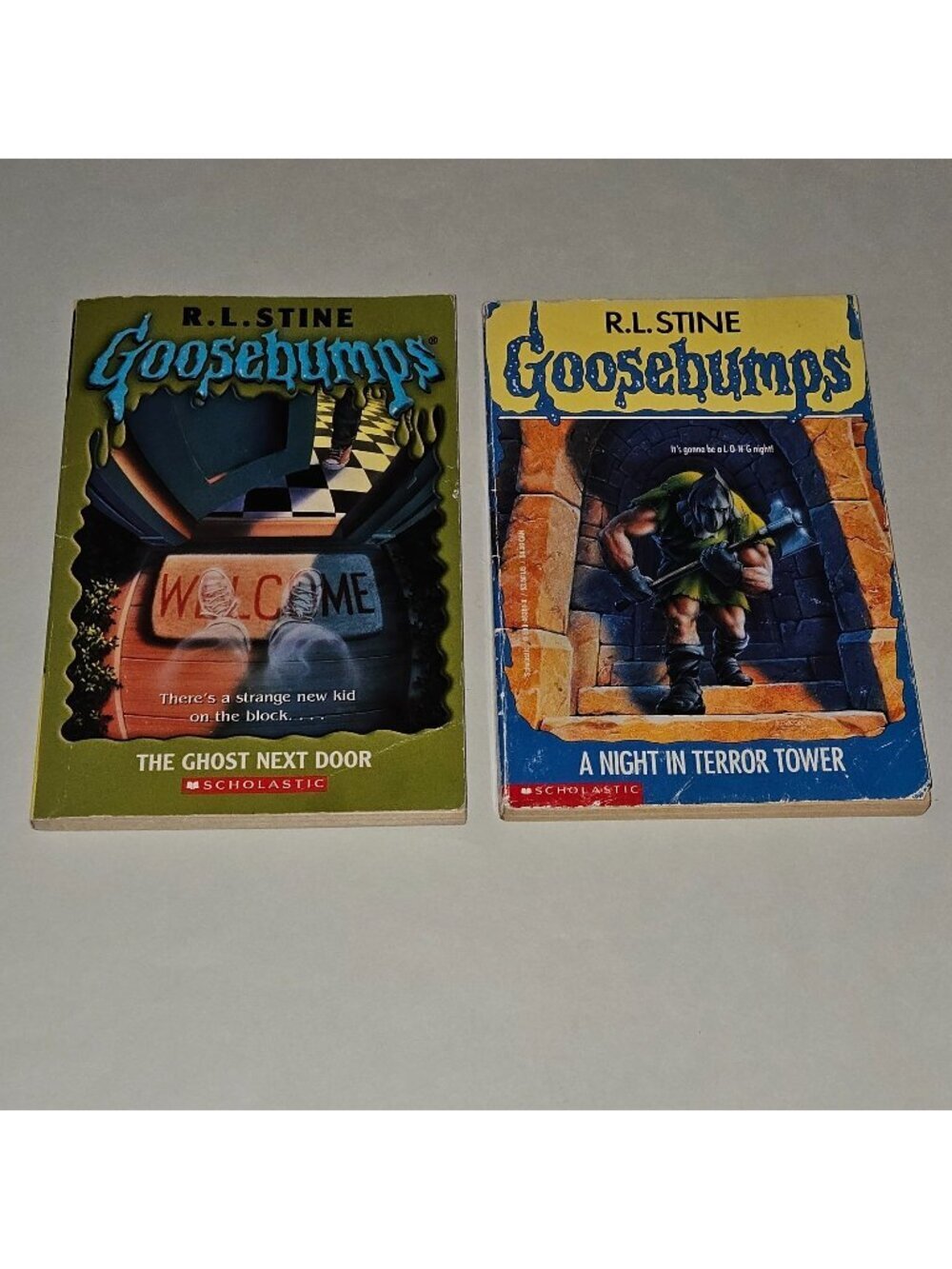 2 RL Stine Goosebumps Book Lot Unnumbered Ghost Next Door #27 Night Terror Tower